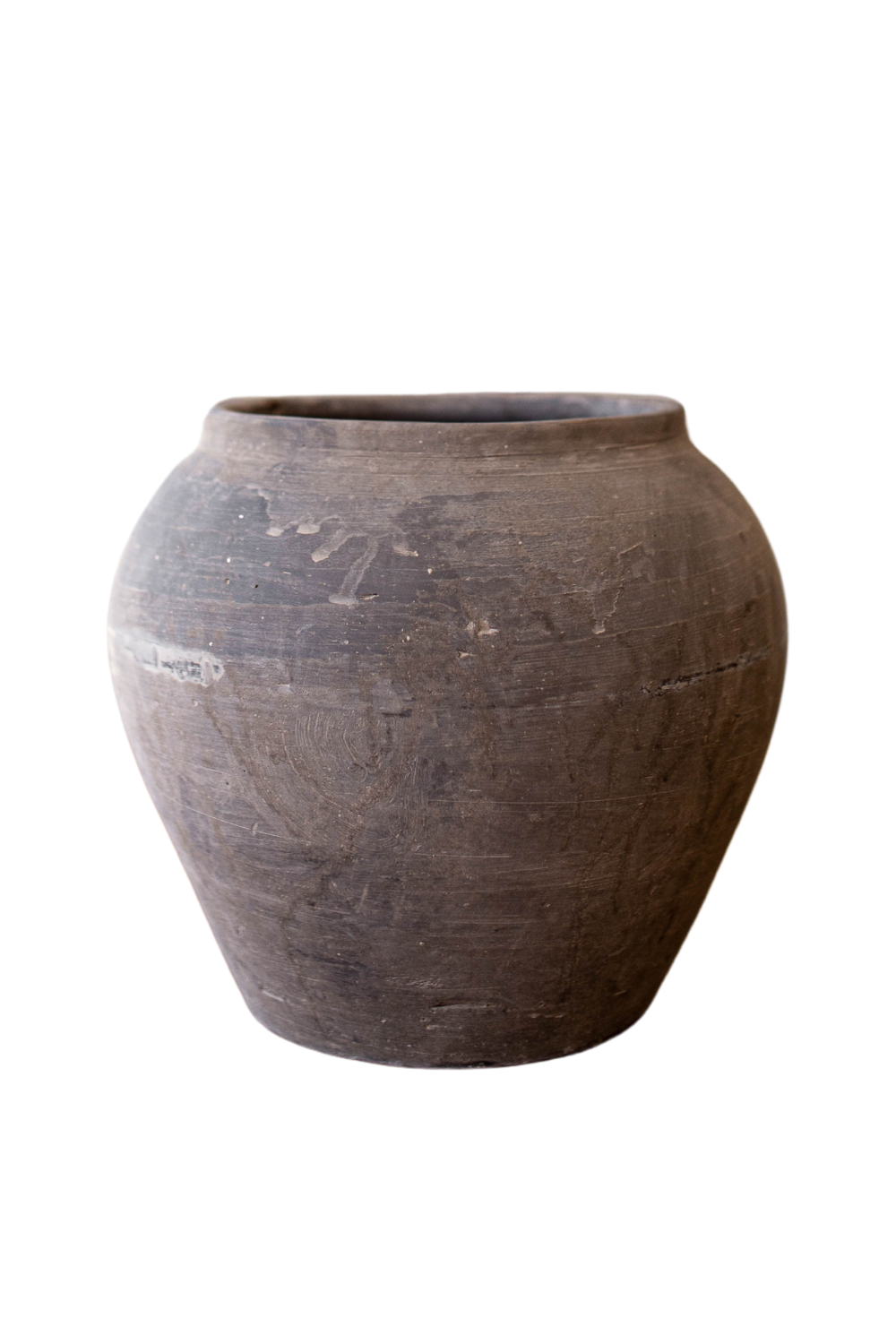 Atelier Black Vintage Olive Tree Pot Medium - Luxe B Co