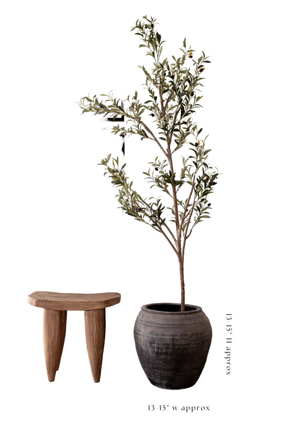 Atelier Black Vintage Olive Tree Pot Medium - Luxe B Co