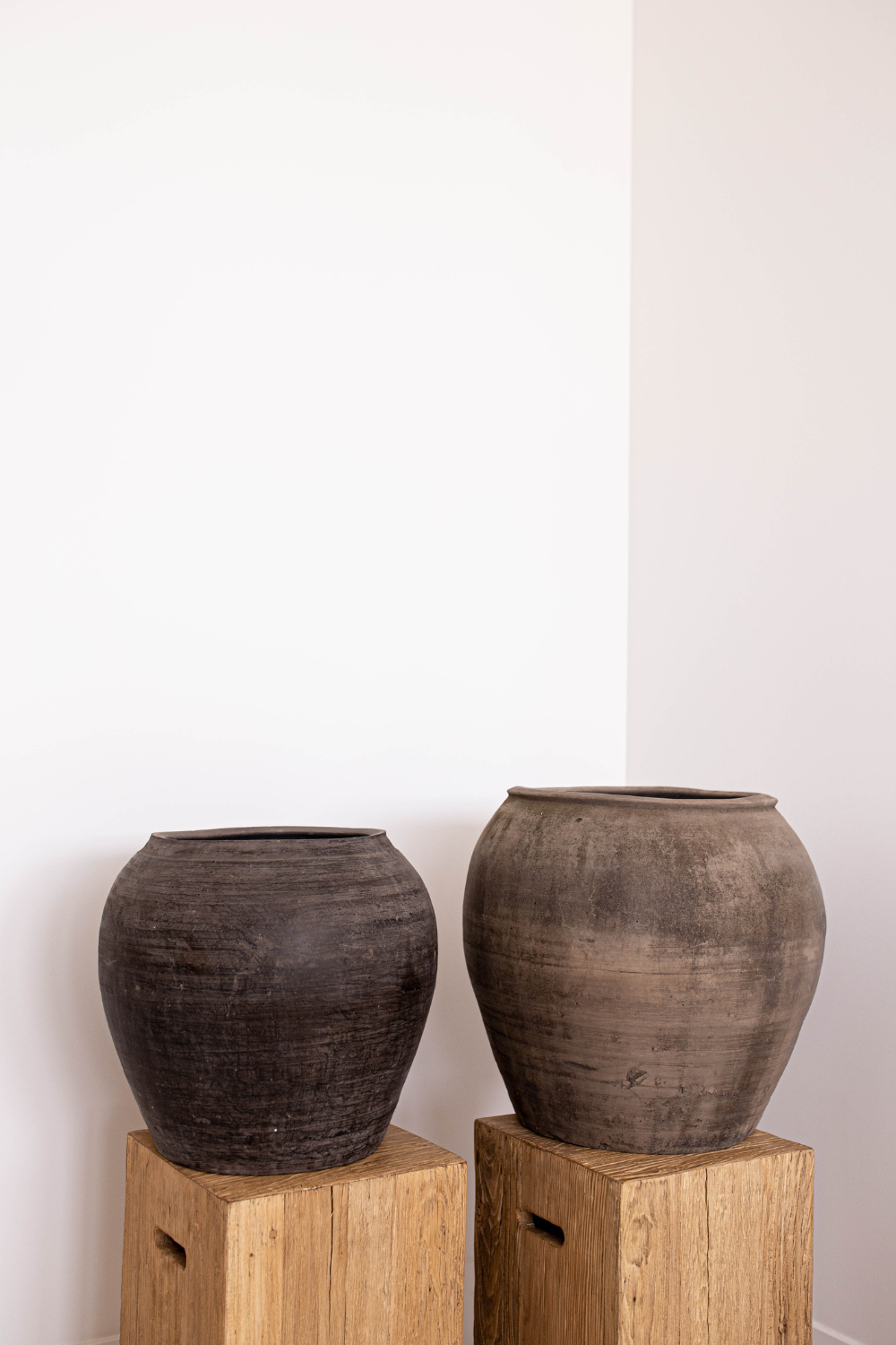 Atelier Black Vintage Olive Tree Pot Medium - Luxe B Co