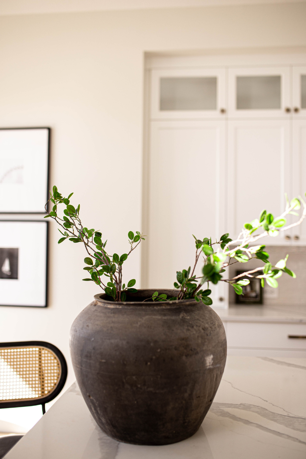 Atelier Black Vintage Olive Tree Pot Medium - Luxe B Co