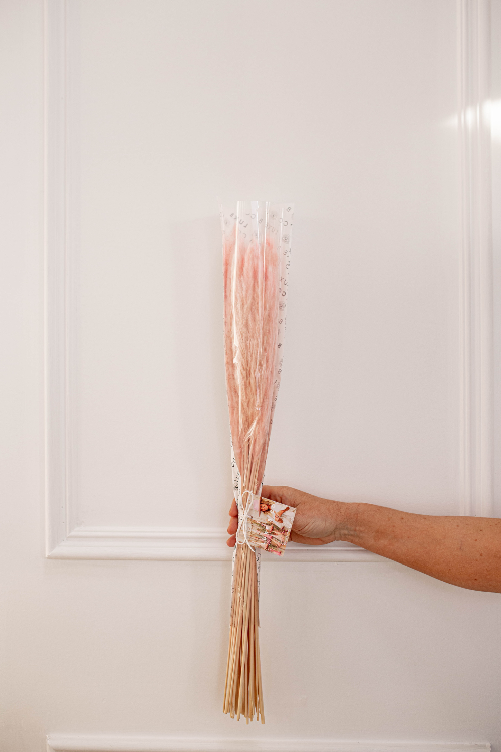 PAMPAS GRASS - Faded Pink Type 5 - Luxe B Co