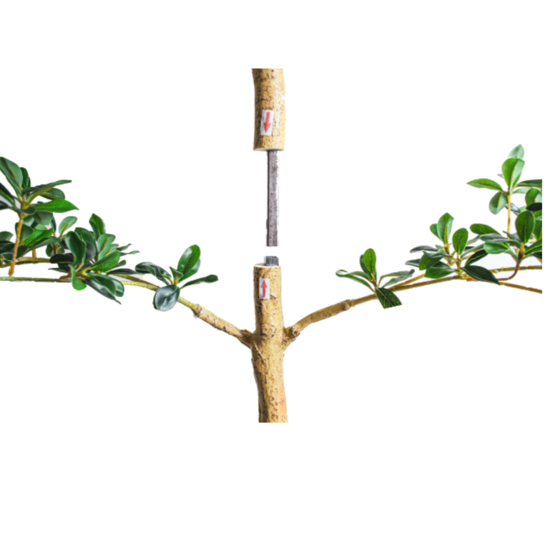 Black Olive Potted Tree | By Luxe B Co.