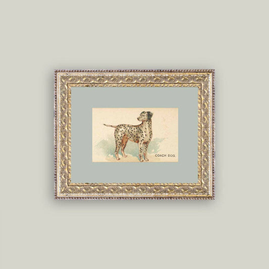 Dalmation Framed Antique Art - Luxe B Co