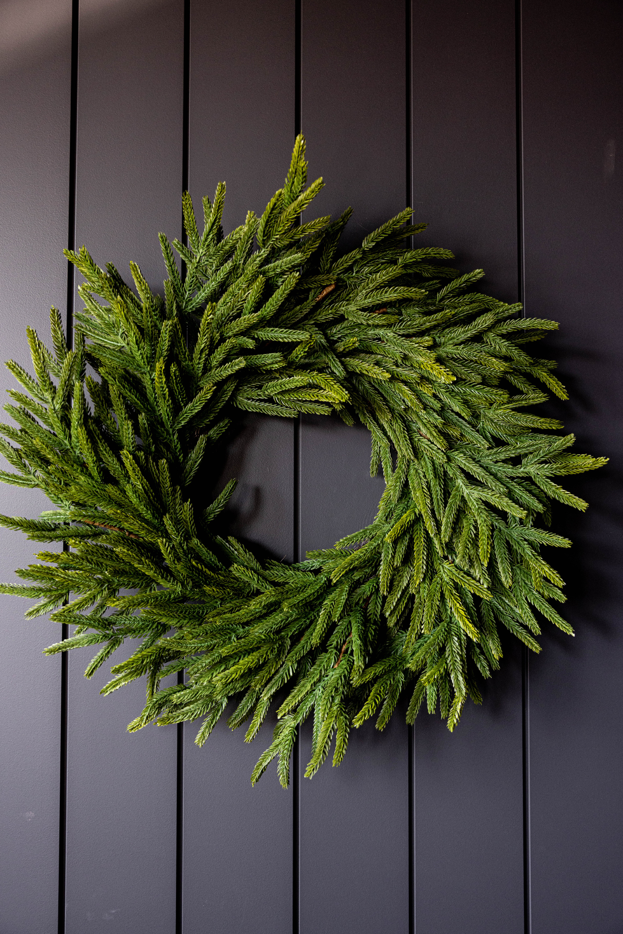 Norfolk Pine Real Touch Wreath 24" - Luxe B Co
