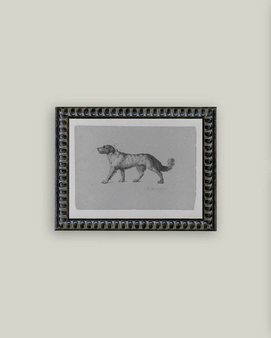 Newfoundland Dog Framed Antique Inspired Art | By Luxe B Co.