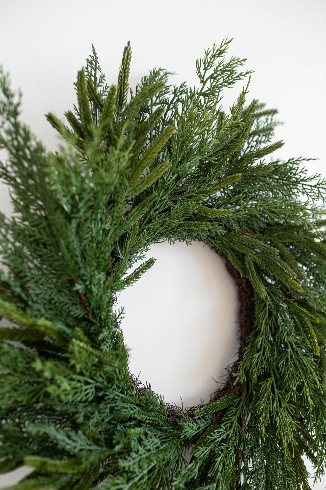 Norfolk & Cypress Pine Mixed Wreath 12" | By Luxe B Co.