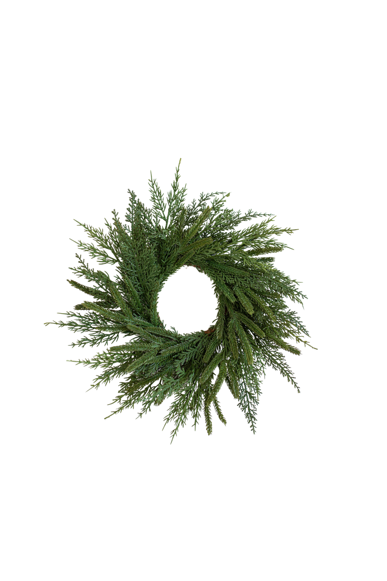Norfolk & Cypress Pine Mixed Wreath 12" | By Luxe B Co.