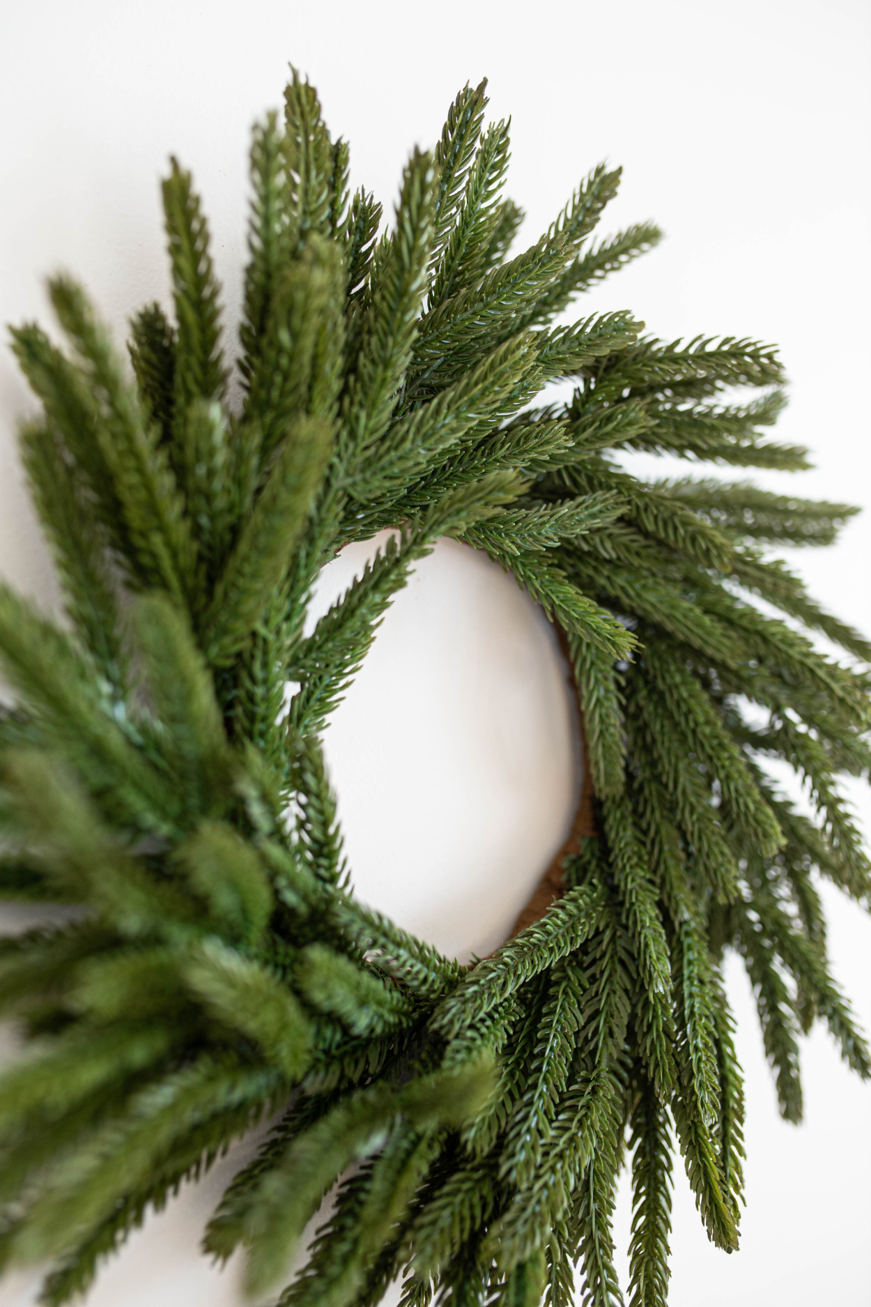 Norfolk Pine Real Touch Wreath 12" | By Luxe B Co.