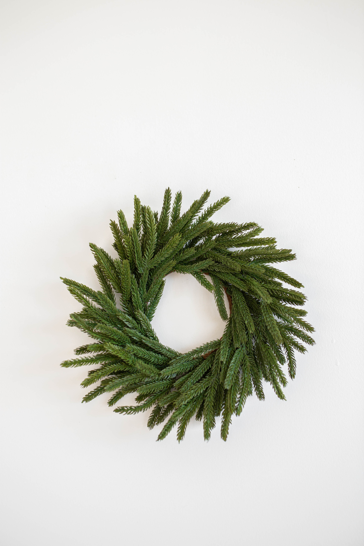 Norfolk Pine Real Touch Wreath 12" | By Luxe B Co.