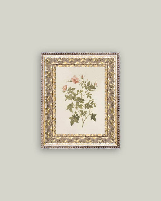 Rosa Framed Antique Art - Luxe B Co