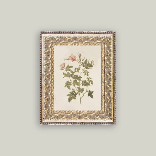 Rosa Framed Antique Art - Luxe B Co