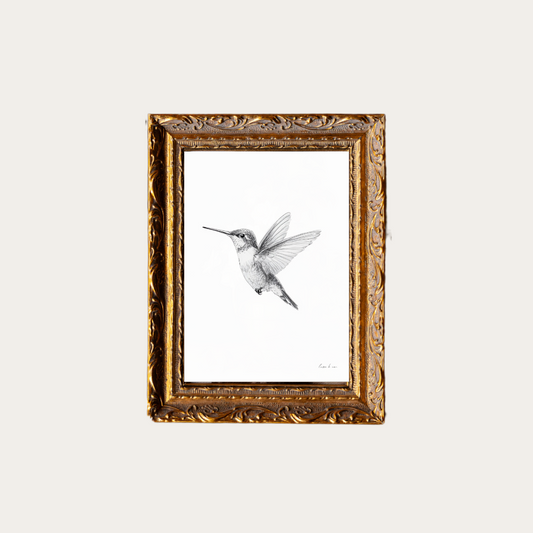 Hummingbird Sketch | French Brass Gold Mould Framed Art - Luxe B Co