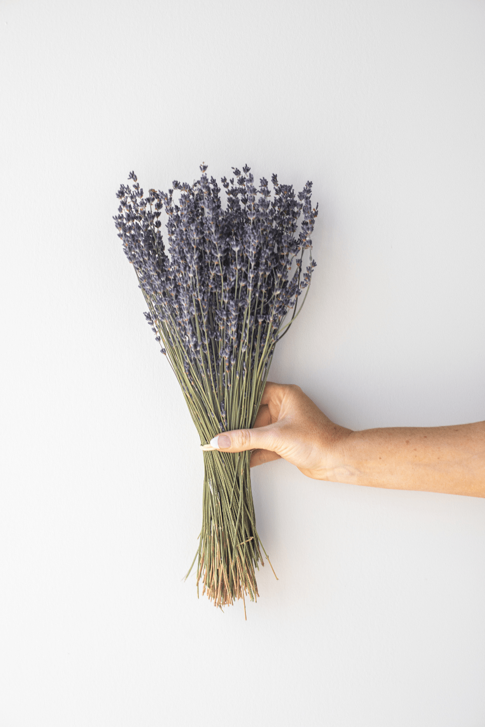 Dried Lavender Bouquet - Luxe B Co