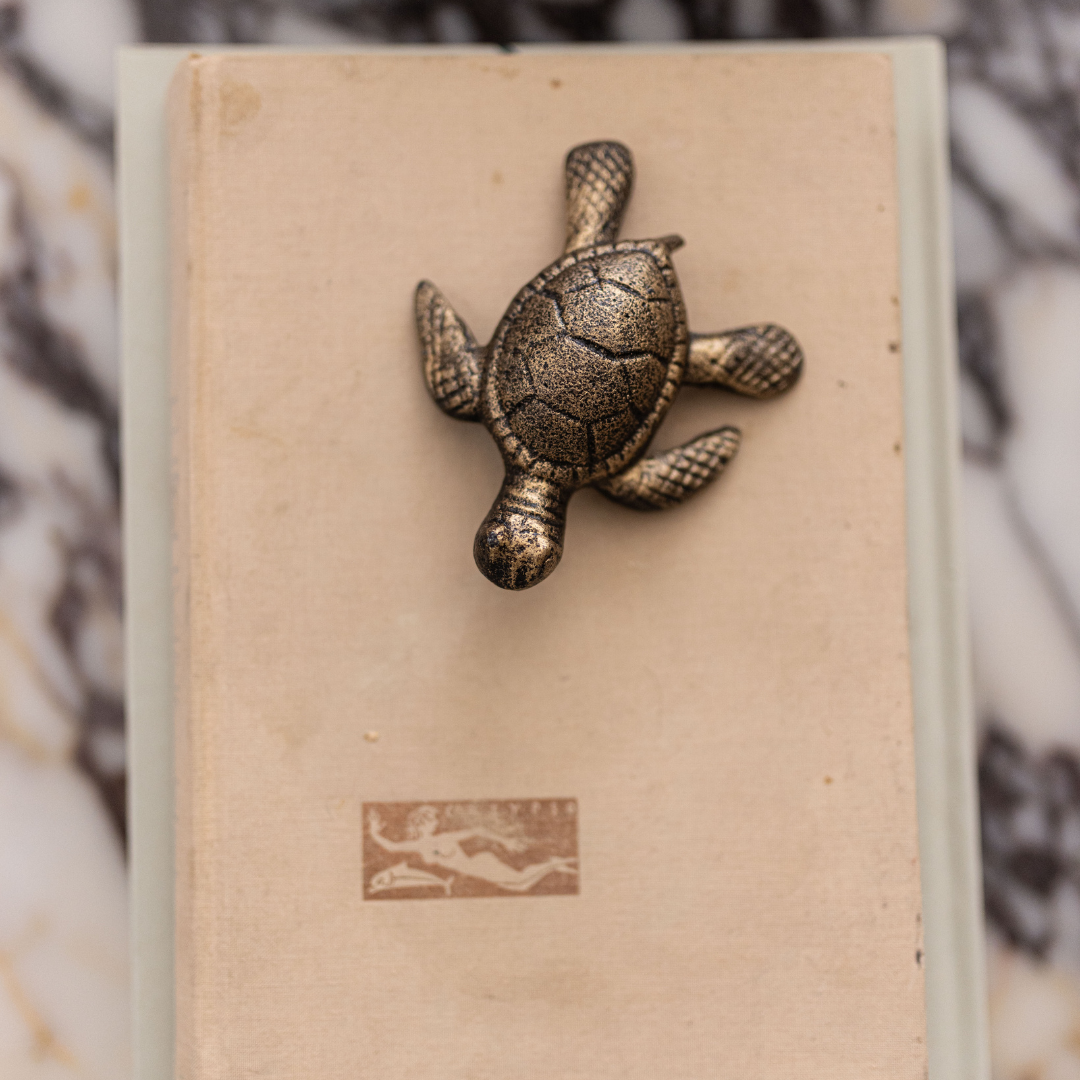 Golden Sea Turtle - Luxe B Co