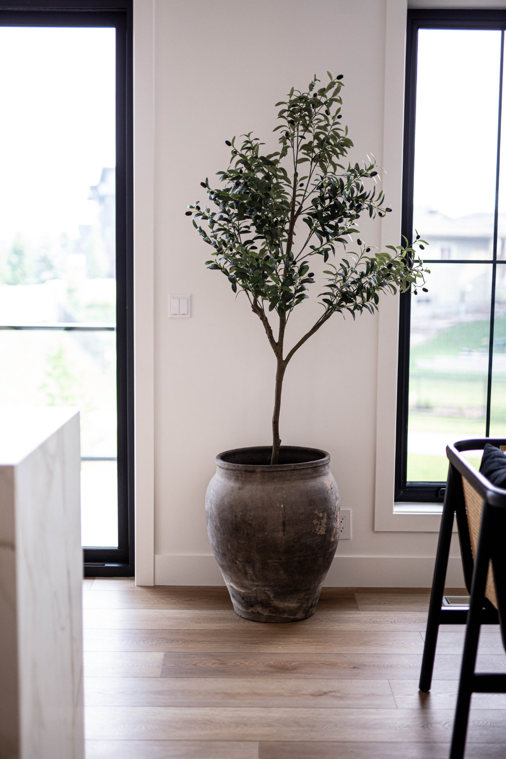 Oversized Olive Tree Pot *Pick up Only - Luxe B Co