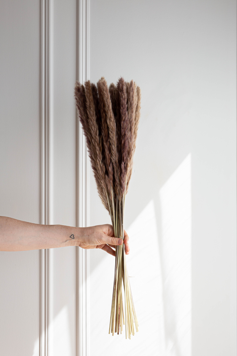 PAMPAS GRASS - Natural Type 5 - Luxe B Pampas Grass  Vintage Home Decor Shop Luxe B Co Instagram