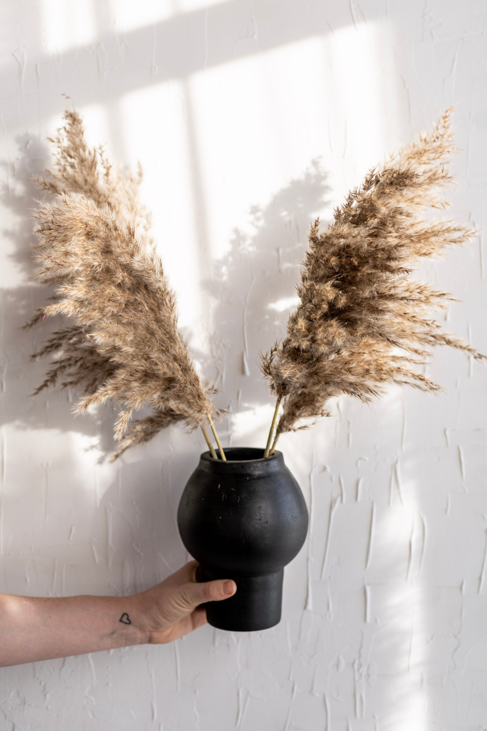 San Diego Vase - Luxe B Pampas Grass  Canada , dried flowers and pampas grass Canadian Company. Bulk and wholesale dried flowers and pampas grass fluffy. Large White Pampas Grass Toronto