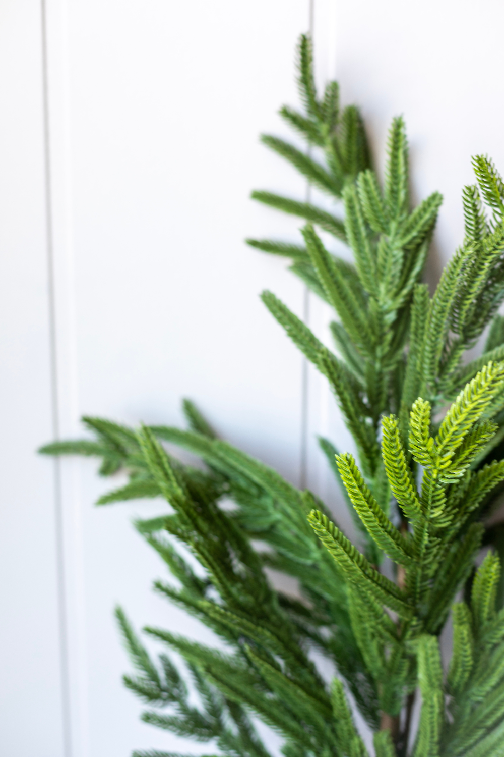 SWLECA 12 stuks Norfolk Pine Kunstkersttakken -12 Inch Kerst Faux Takken Doe-het-zelf Ambachten voor Vakantie Decoratie, Kerst Groene Planten voor Kerstboom en Huis Tuin Decoratie (Groen, 12 SWLECA 12 stuks Norfolk Pine Kunstkersttakken -12 Inch Kerst Faux Takken Doe-het-zelf Ambachten voor Vakantie Decoratie, Kerst Groene Planten voor Kerstboom en Huis Tuin Decoratie (Groen, 12