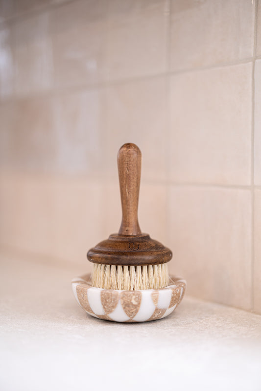 Dish Soap Brush