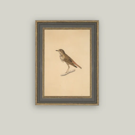 Bird Framed Antique Inspired Art | By Luxe B Co. 