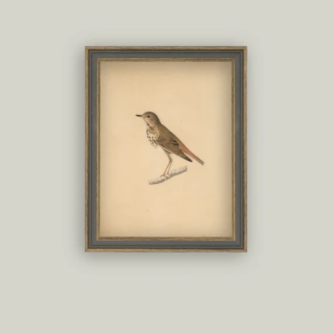 Bird Framed Antique Inspired Art | By Luxe B Co. 