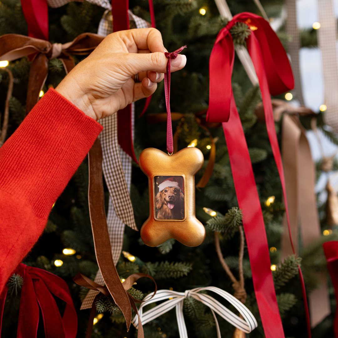 Bronze Dog Bone Photo Frame Ornament By Luxe B Co. 