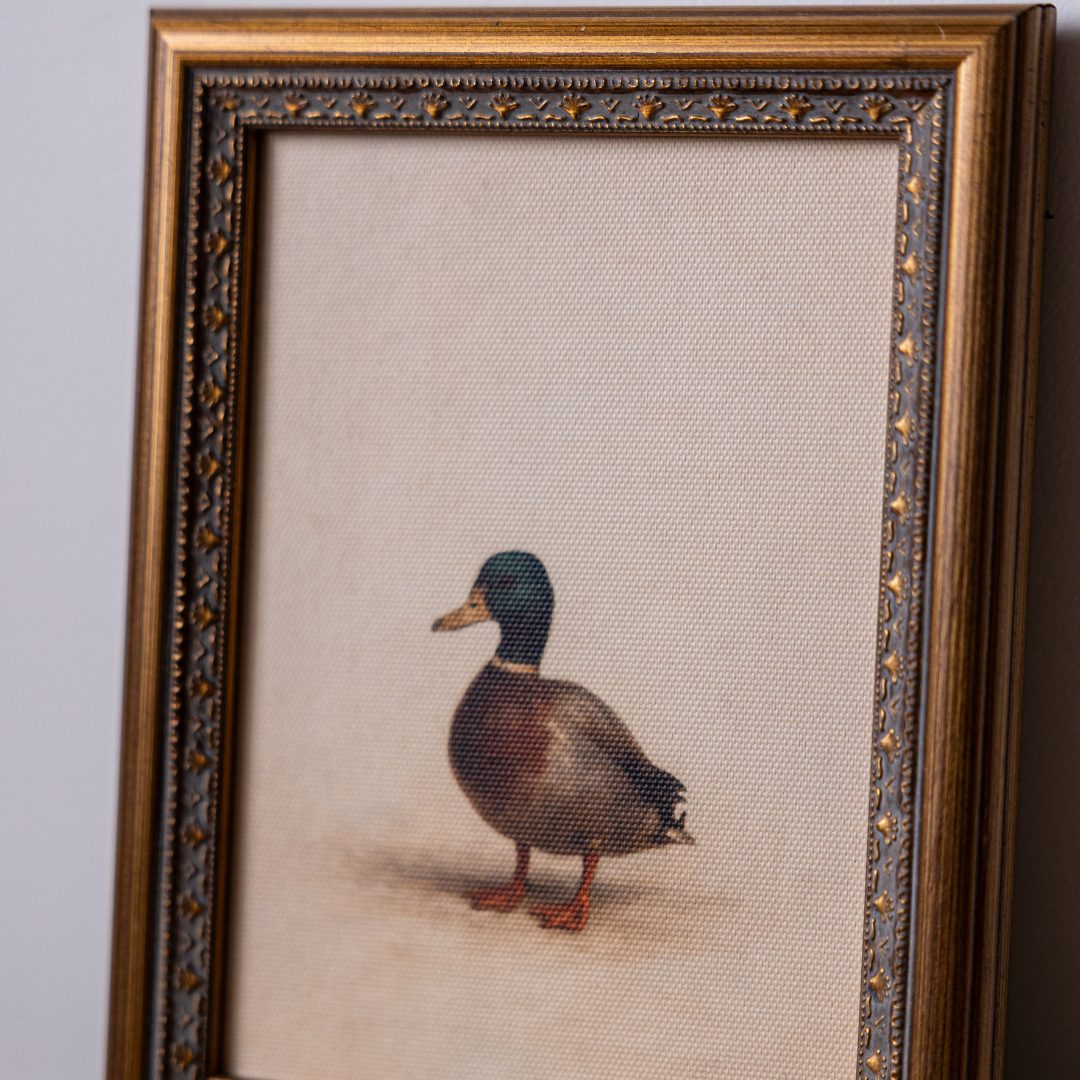 Common Loon | Antique Inspired Brass Mould Framed Art By Luxe B Co.