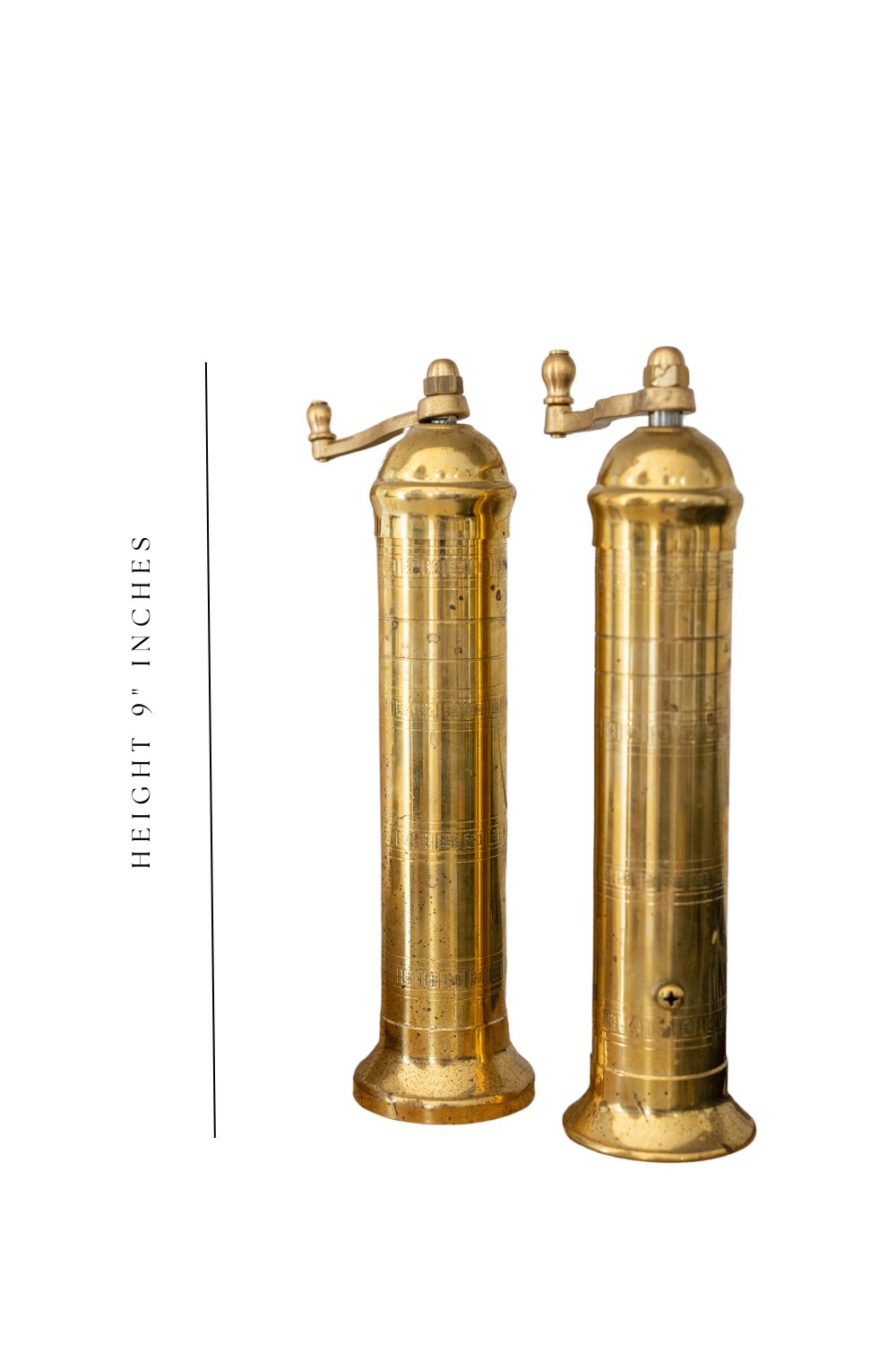 Brass Mill' 9" Salt & Pepper Grinders - Luxe B Pampas Grass  Canada , dried flowers and pampas grass Canadian Company. Bulk and wholesale dried flowers and pampas grass fluffy. Large White Pampas Grass Toronto