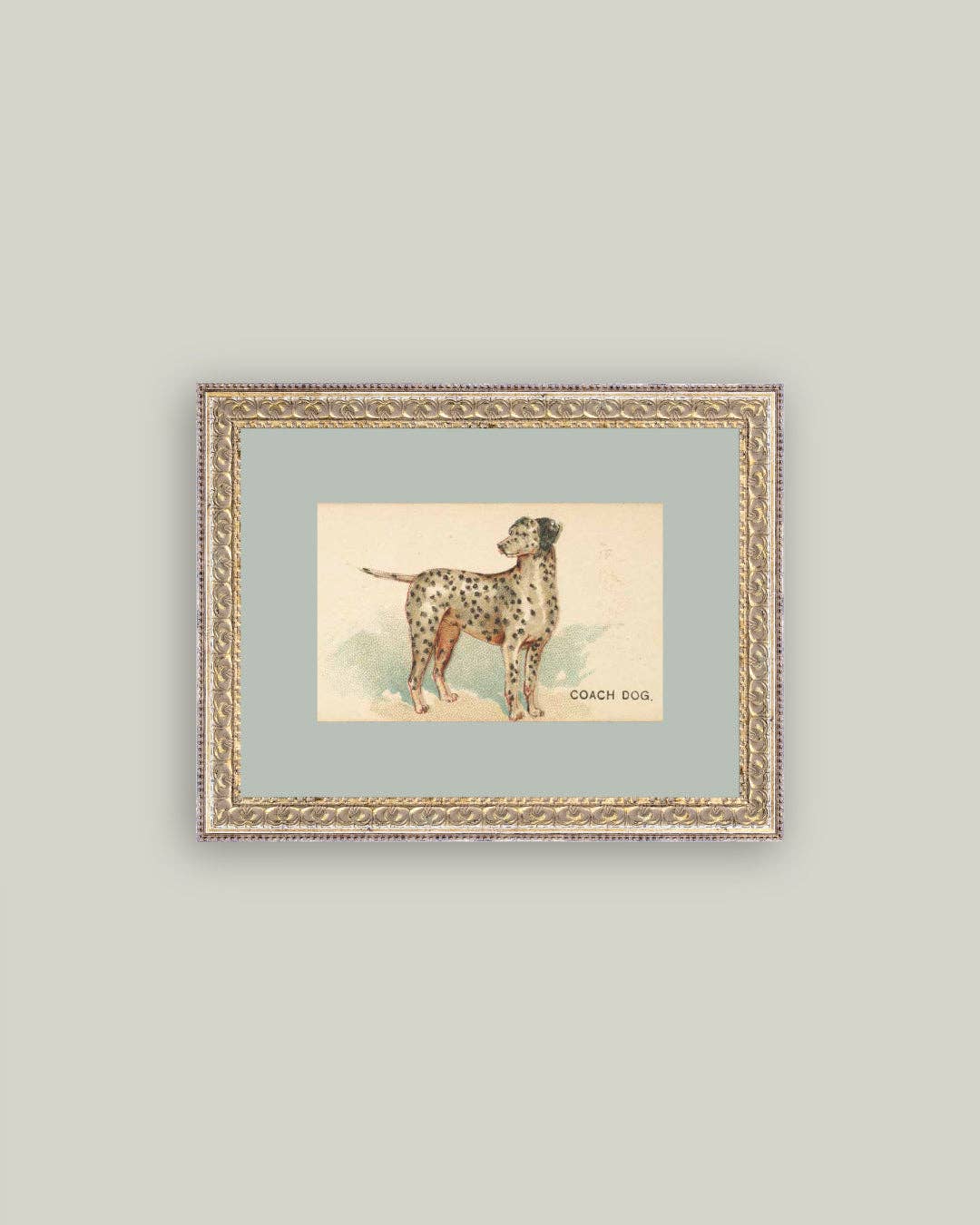 Dalmation Framed Antique Art - Luxe B Co