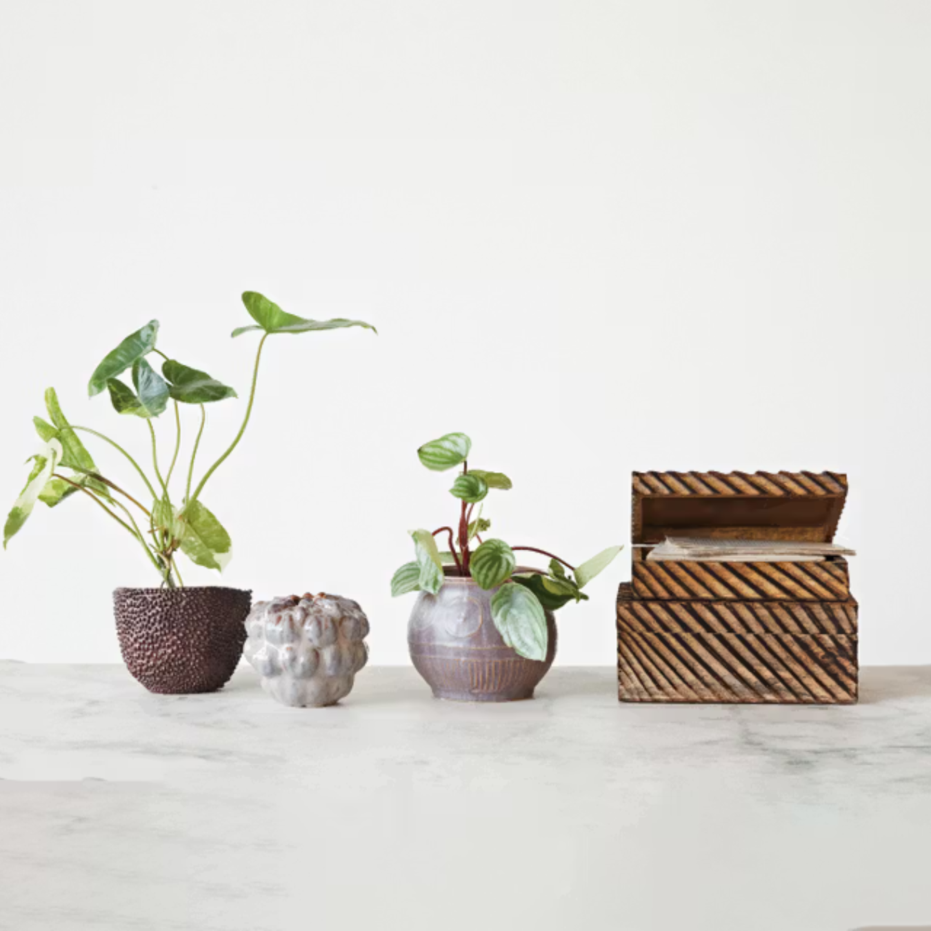 Decorative Carved Mango Wood Box | By Luxe B Co.