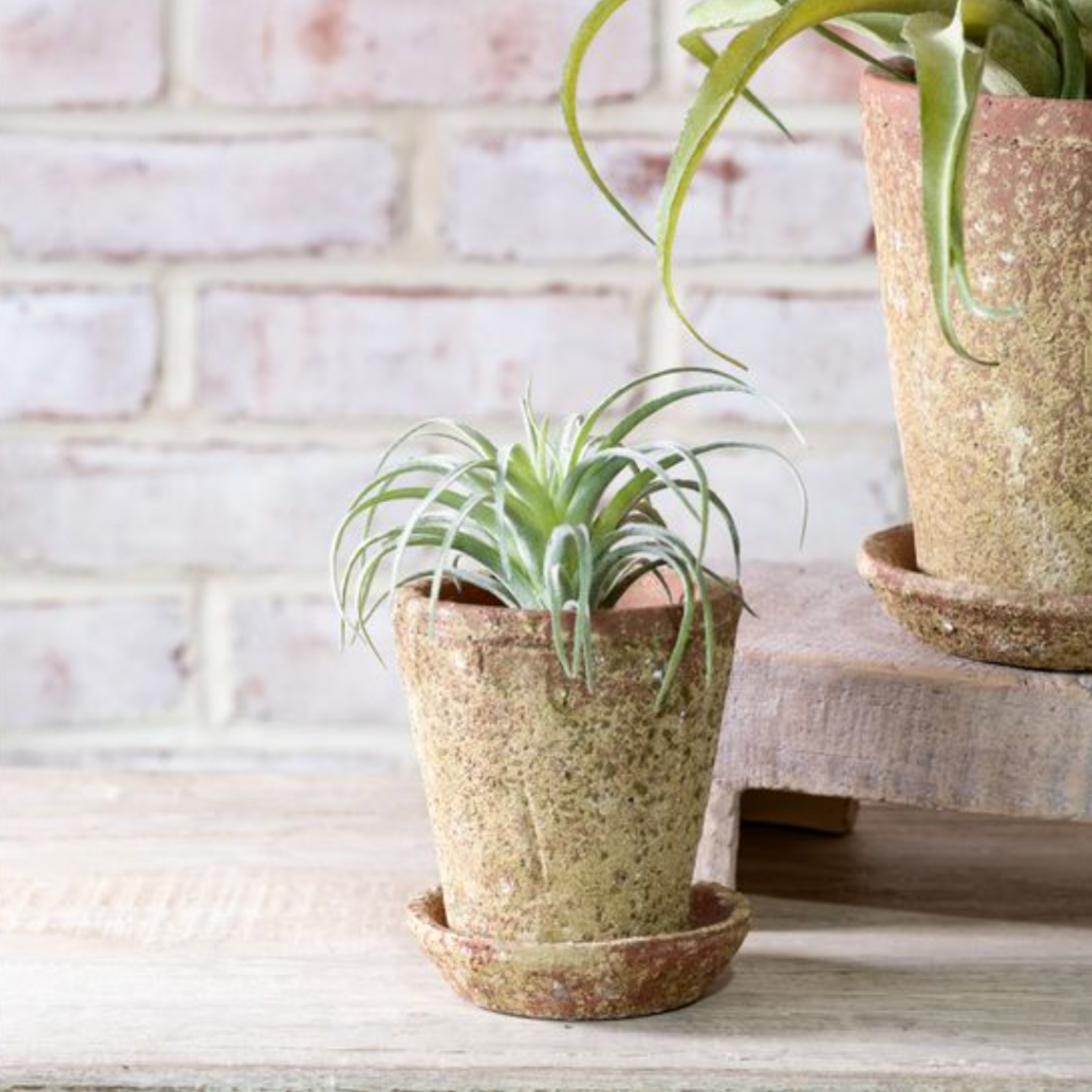 Distressed Sand Pot | By Luxe B Co.