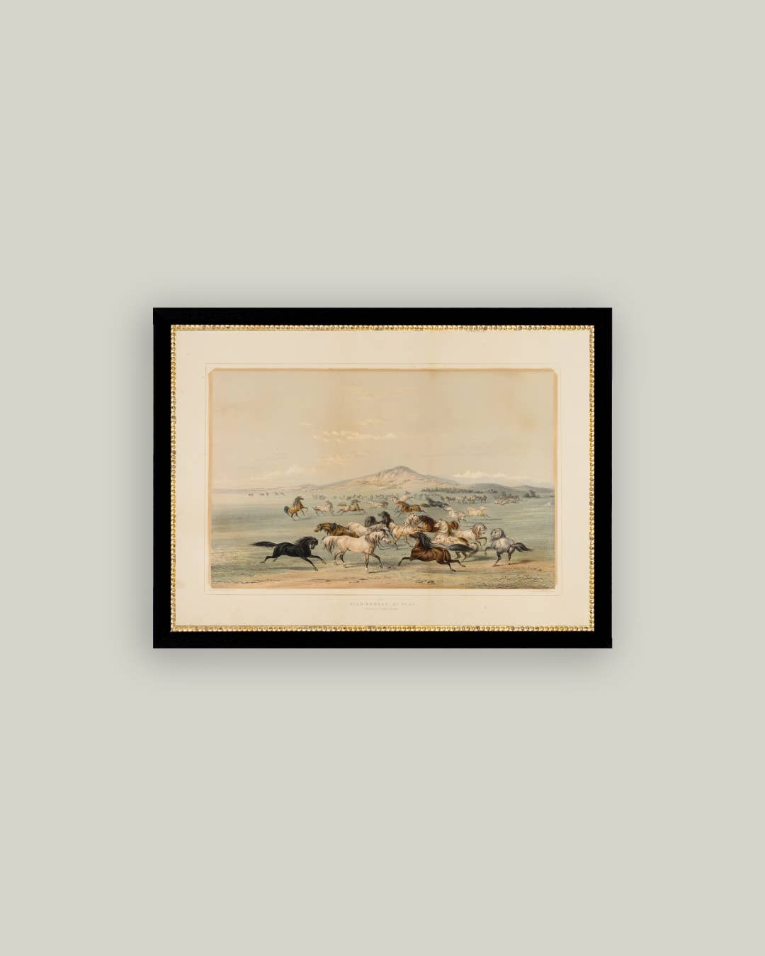 Field Of Horses Framed Antique Art - Luxe B Co