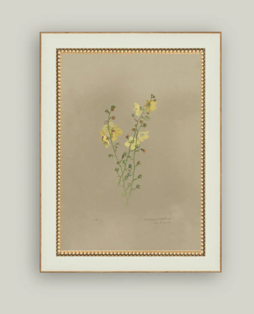 Flowering Yellow Plant Framed Antique Inspired Art | By Luxe B Co. 
