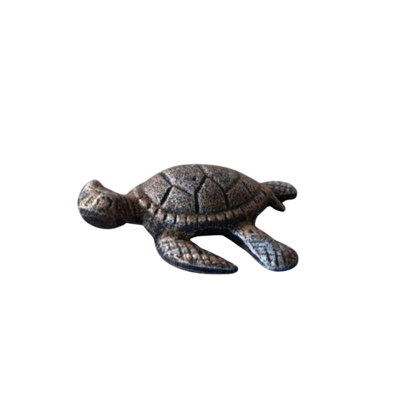 Golden Sea Turtle | By Luxe B Co.