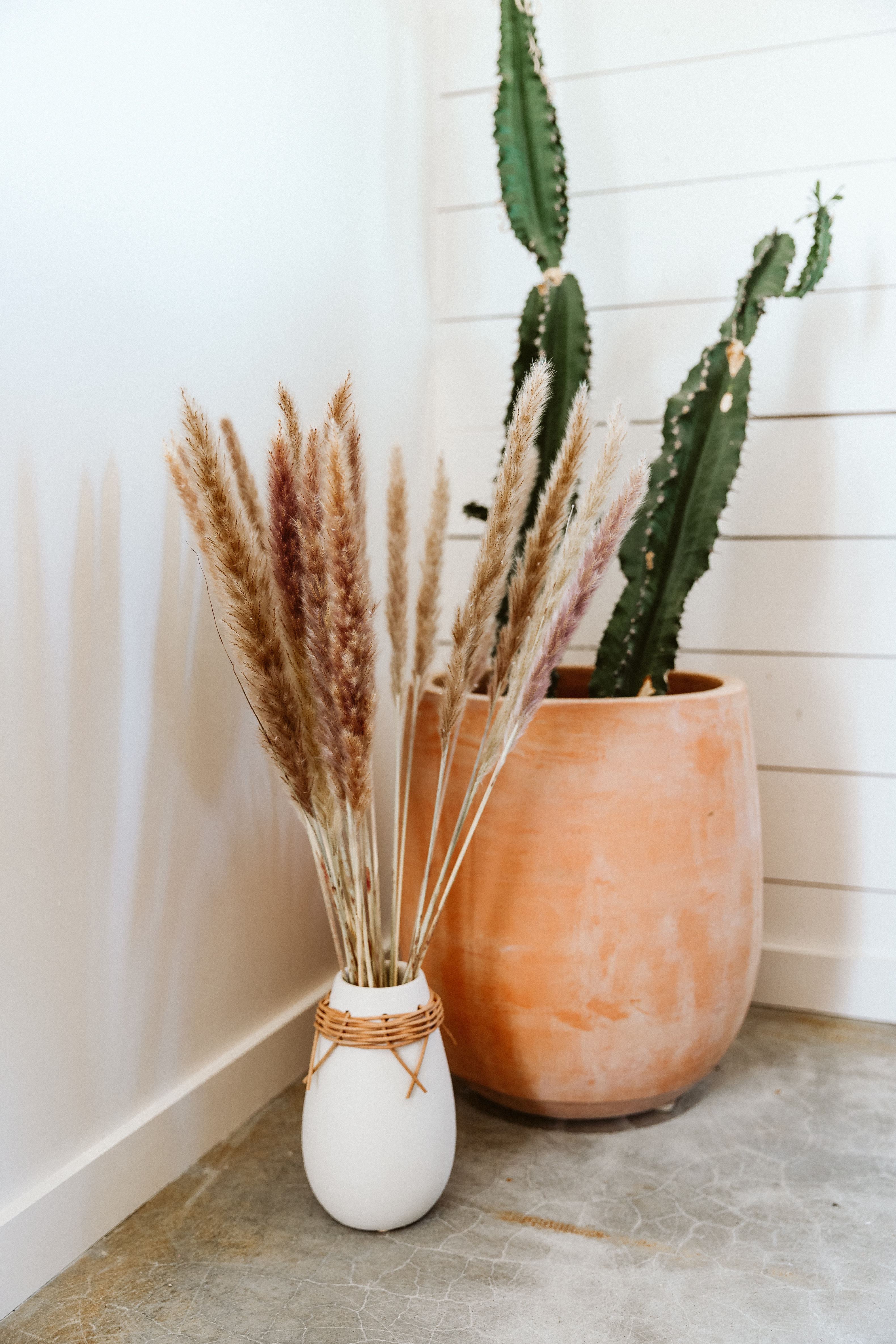 PAMPAS GRASS - Natural Type 5 - Luxe B Co