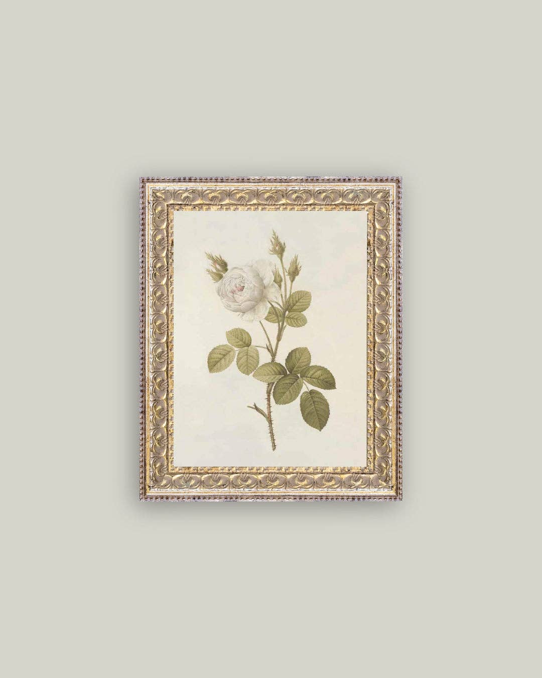 Misty Rose Framed Antique Art - Luxe B Co