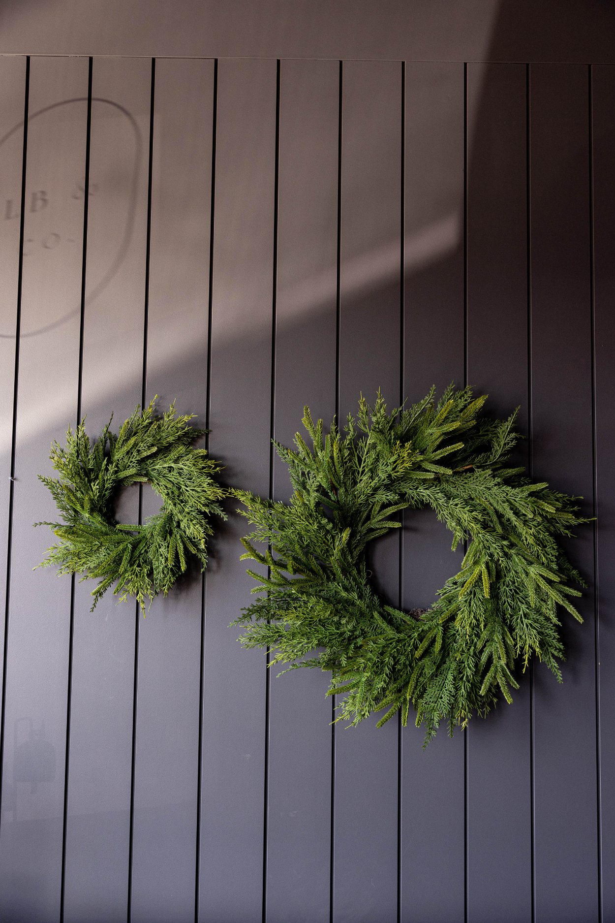 Norfolk & Cypress Pine Mixed Wreath 12"