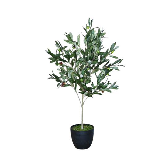 Olive Tree in Pot | By Luxe B Co.