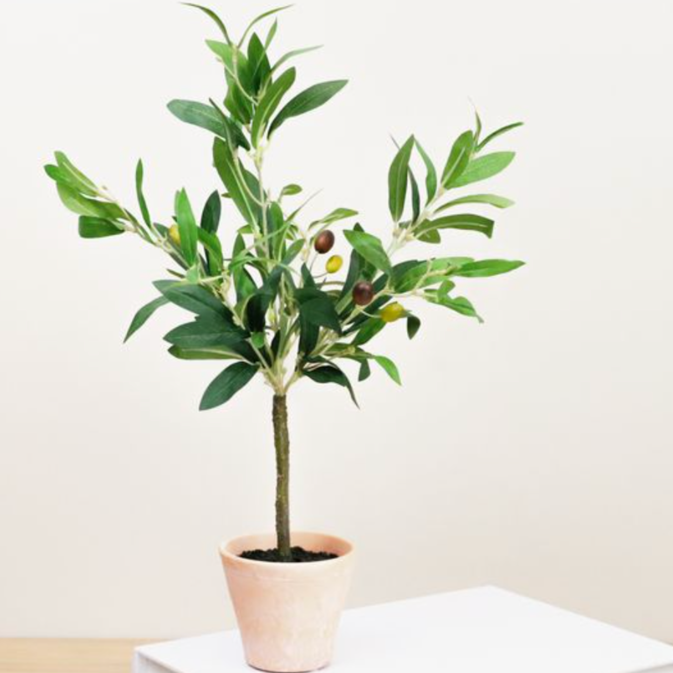 Olive Tree in Terracotta Pot | By Luxe B Co
