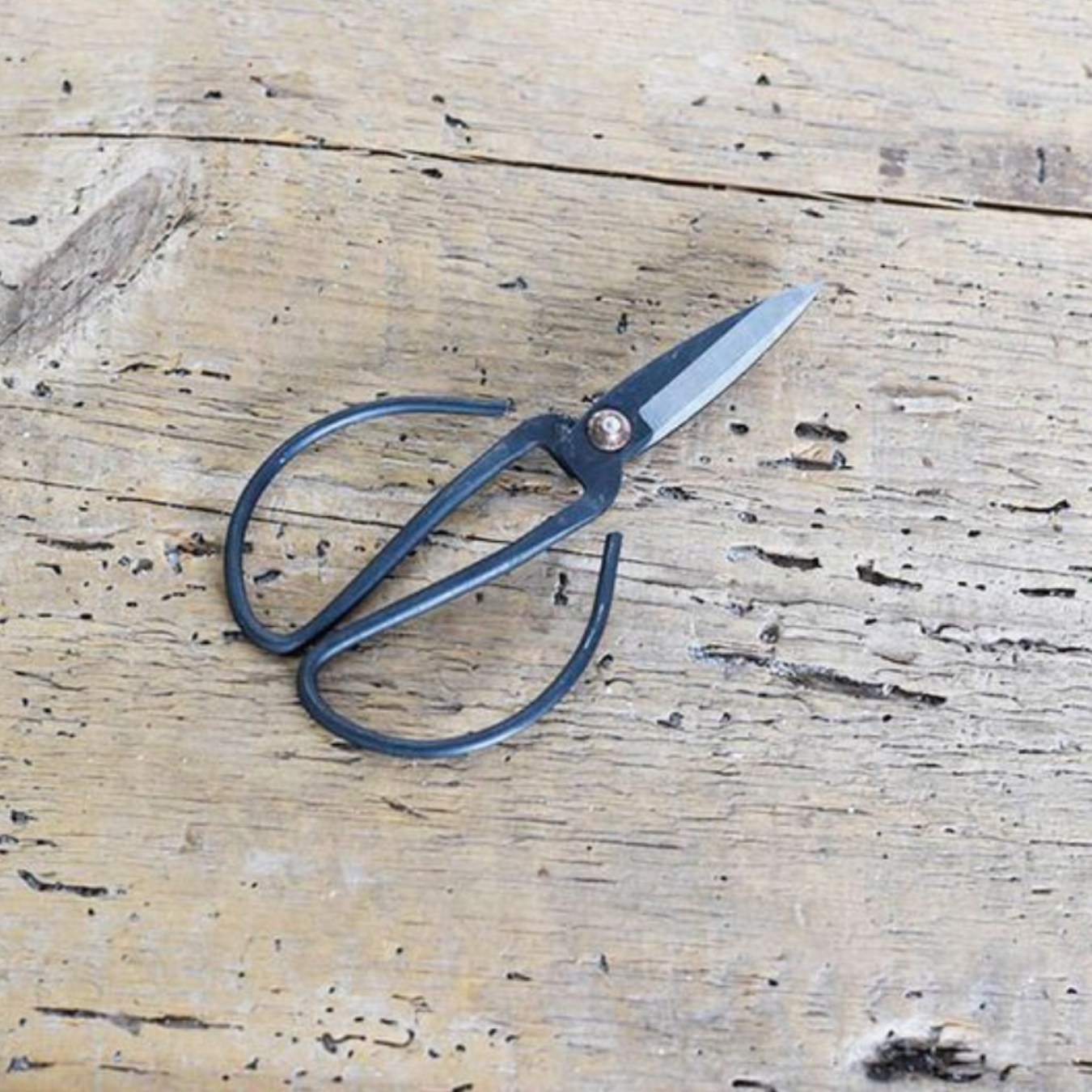 Plant Scissors | By Luxe B Co.
