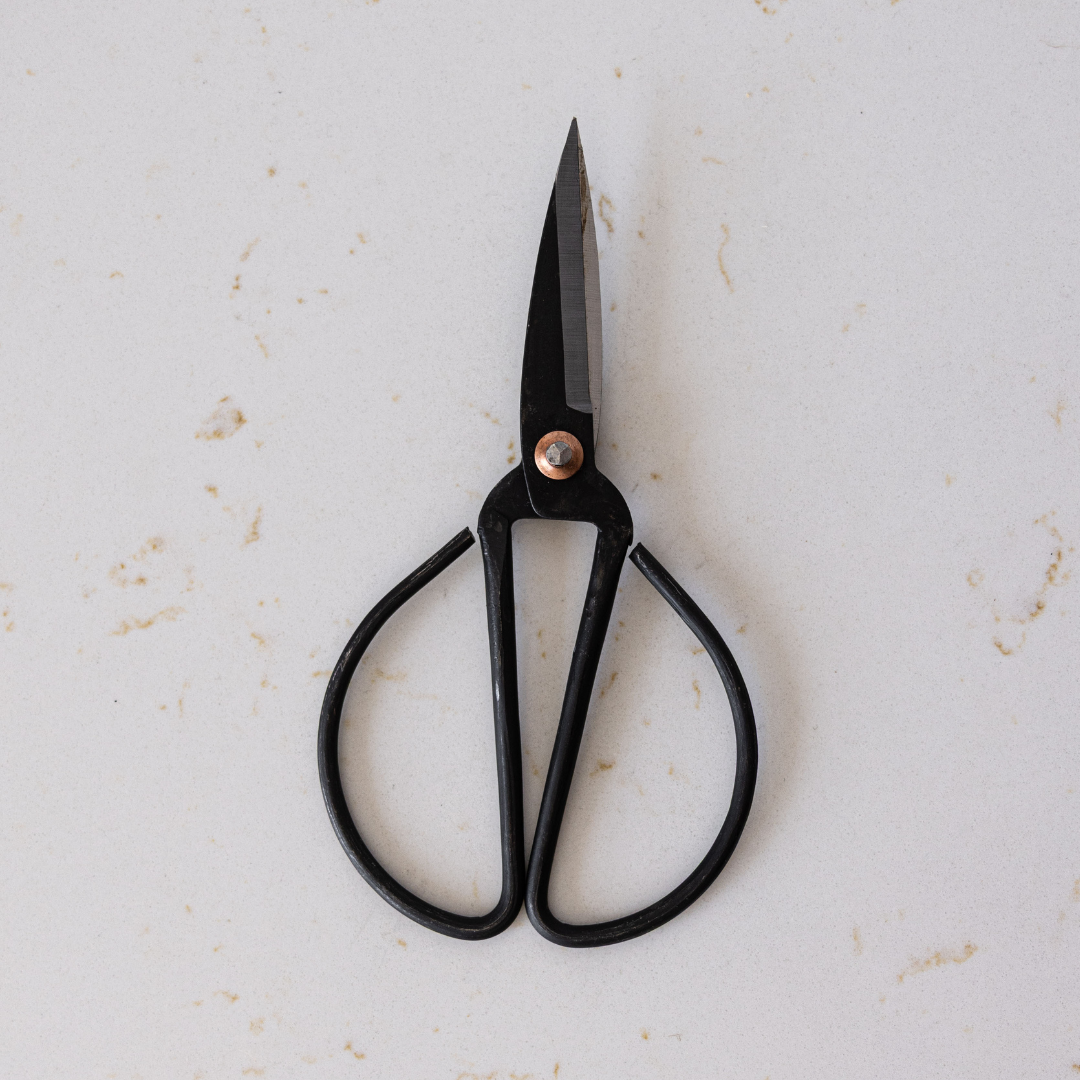Plant Scissors | By Luxe B Co.