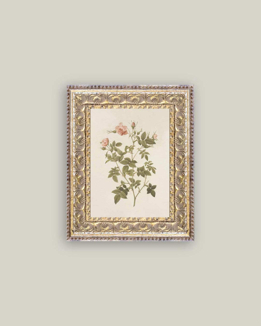 Rosa Framed Antique Art - Luxe B Co