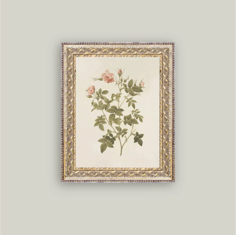 Rosa Framed Antique Inspired Art | By Luxe B Co.