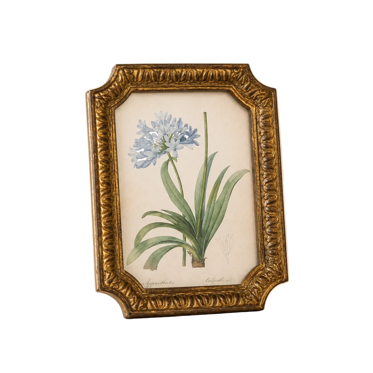 Antique Inspired Gold Photo Frame By Luxe B Co.
