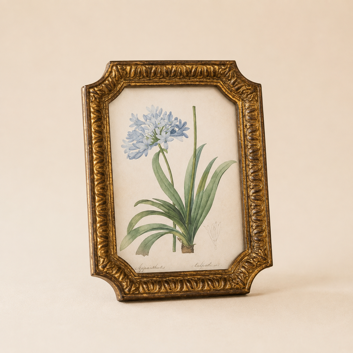 Sm Antique Inspired Gold Photo Frame