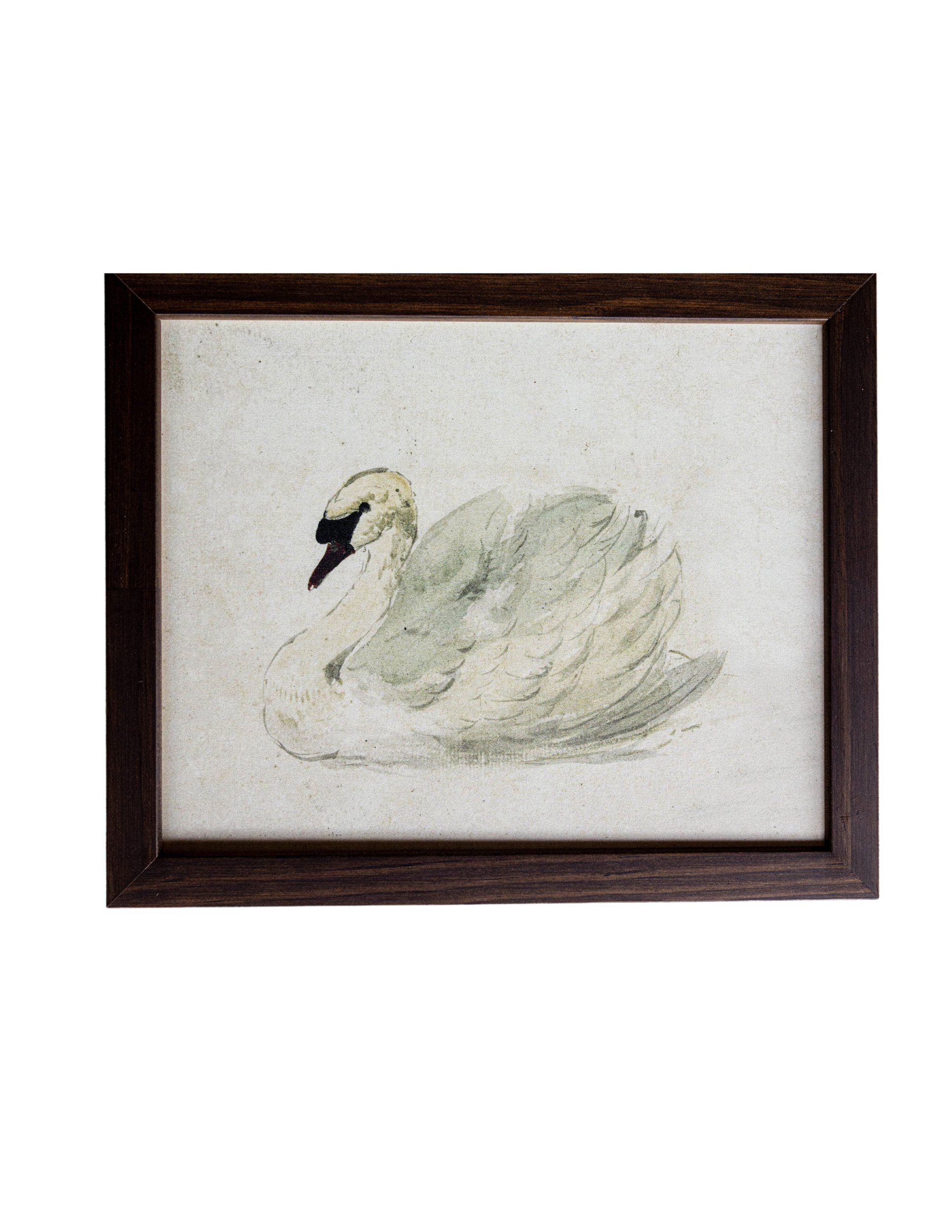 Traditional Swan Hazelnut Framed Art | By Luxe B Co.