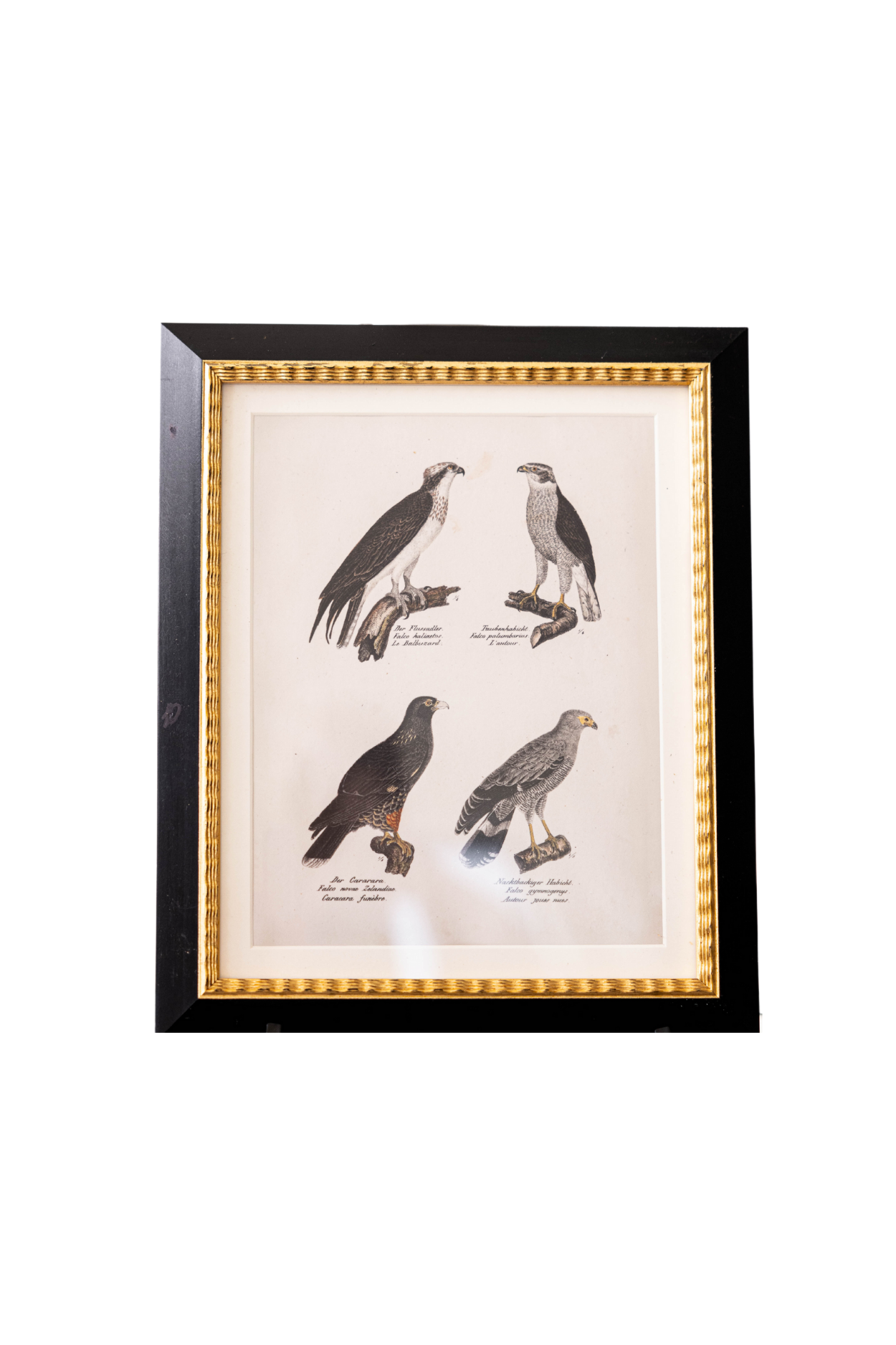 Andover Matted Framed Art  | By Luxe B Co. 