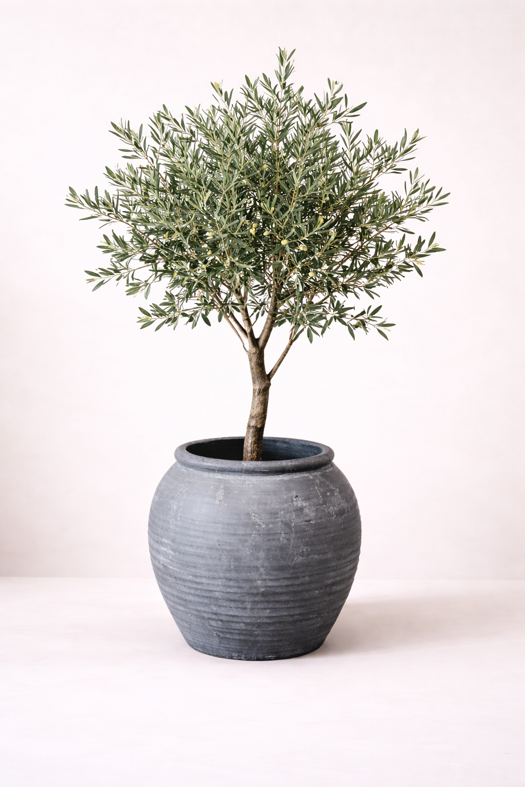 Vintage Inspired Black Line Planter - Luxe B Co