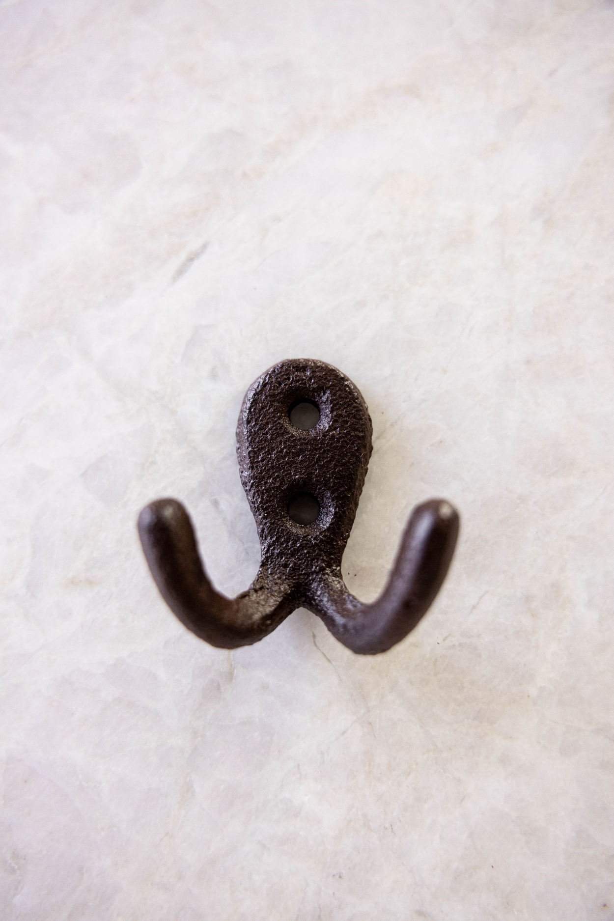 Cast Iron Double Coat Hook | By Luxe B Co. 