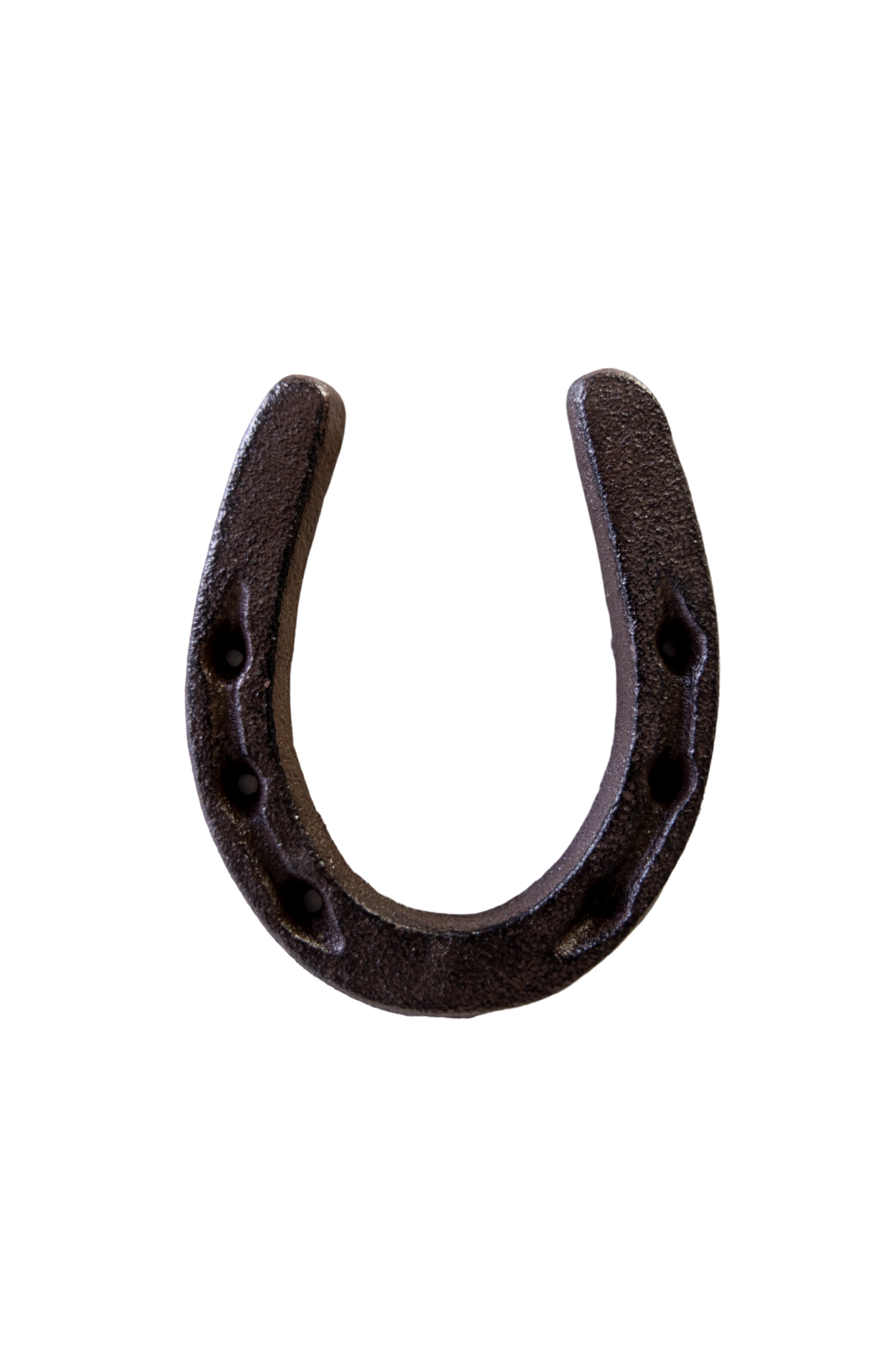 Vintage Inspired Cast Iron Horse Shoe | By Luxe B Co. 